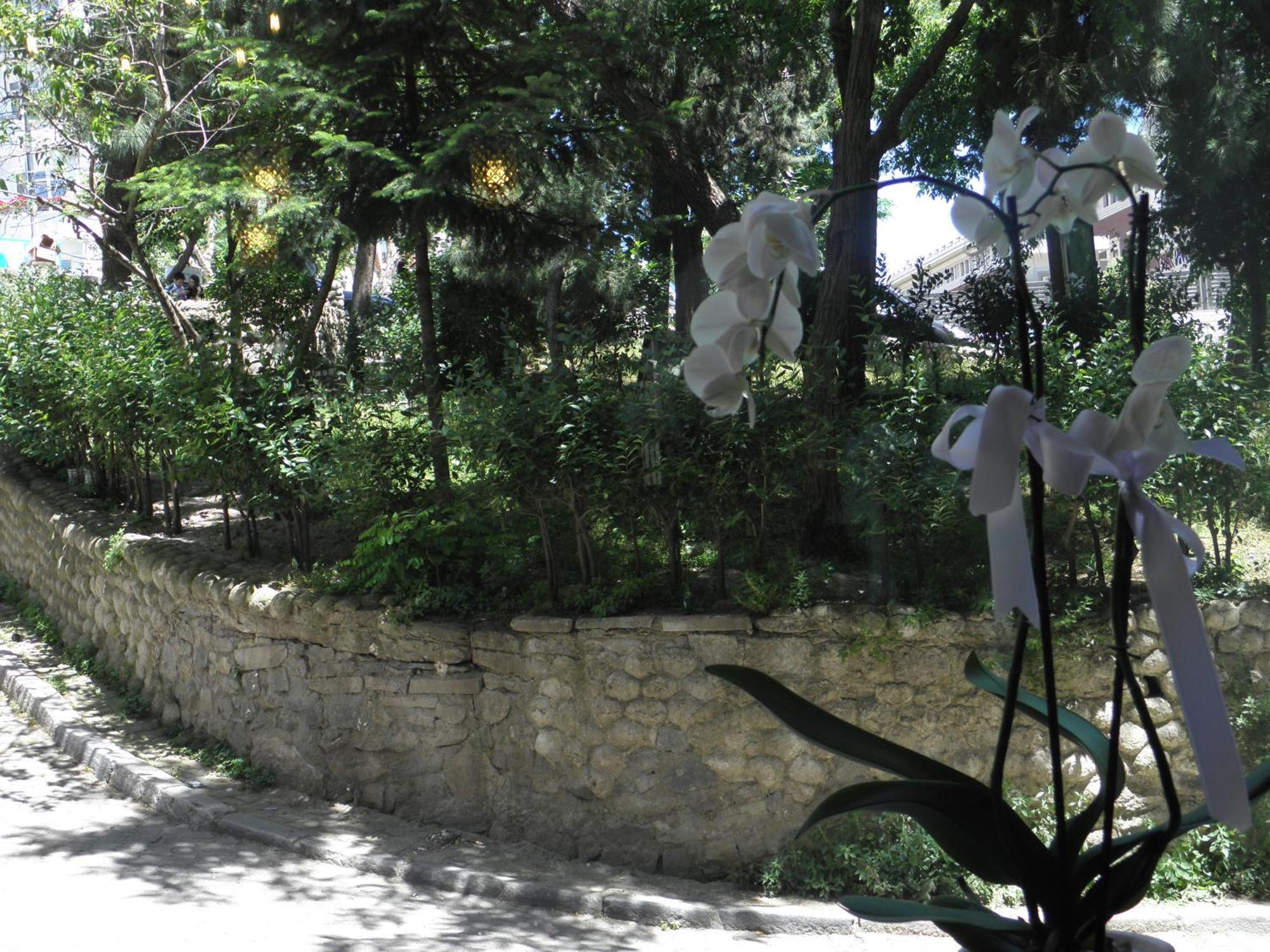 Omar Sultan Park Suites Istanboel Buitenkant foto